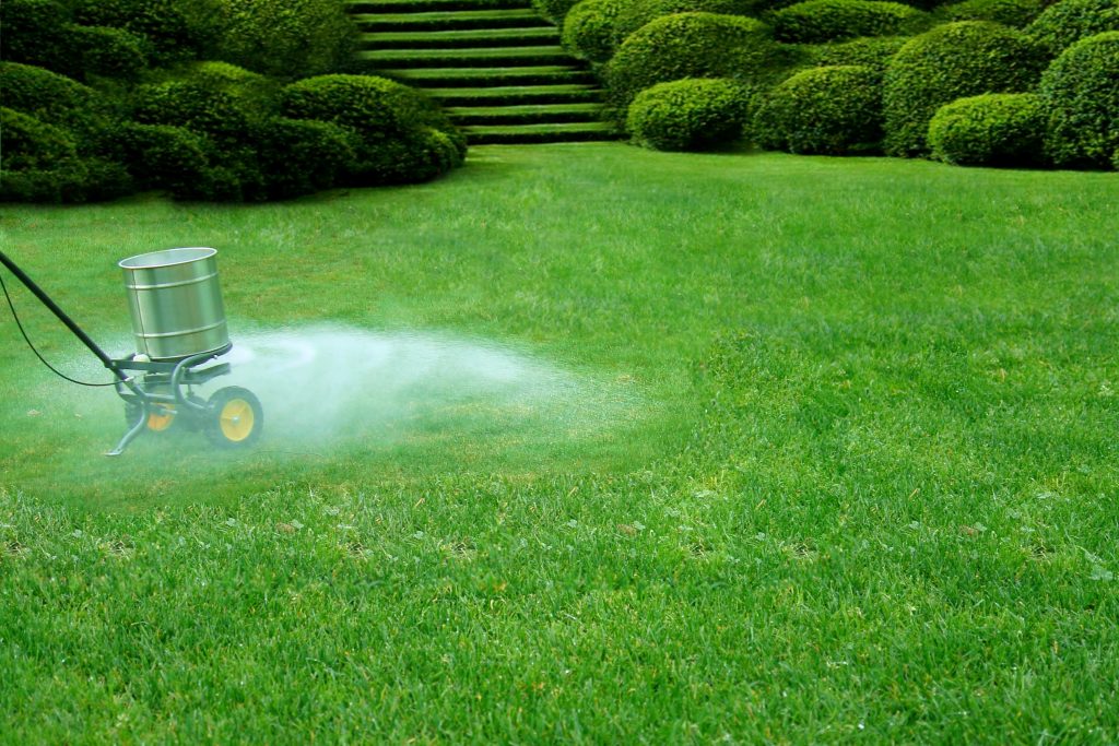 southern lawn care